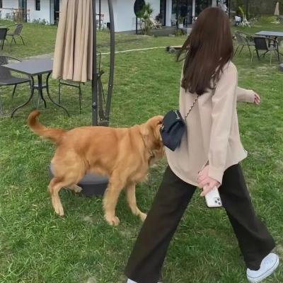 藏色之物