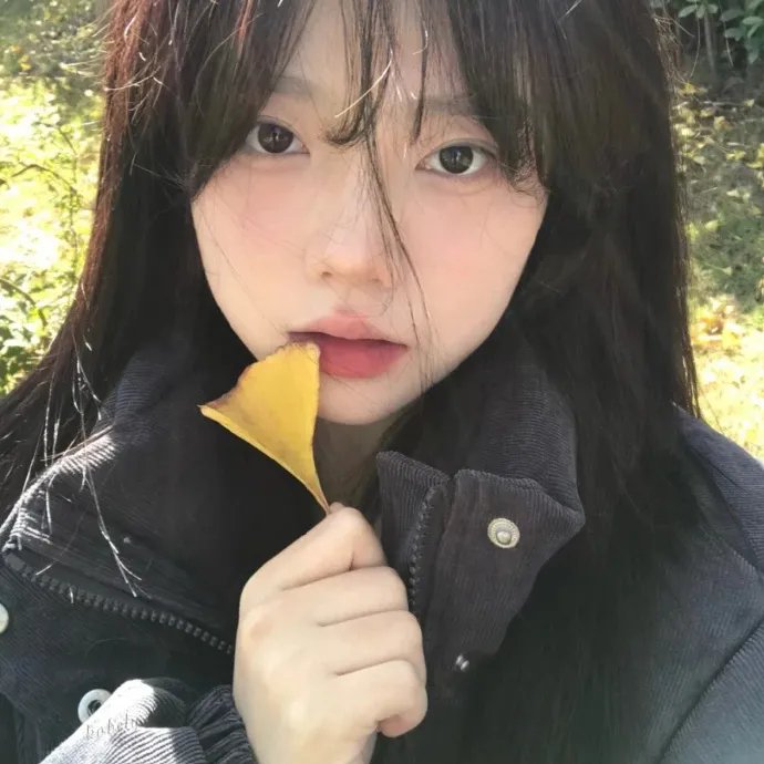 熊的乔纳森